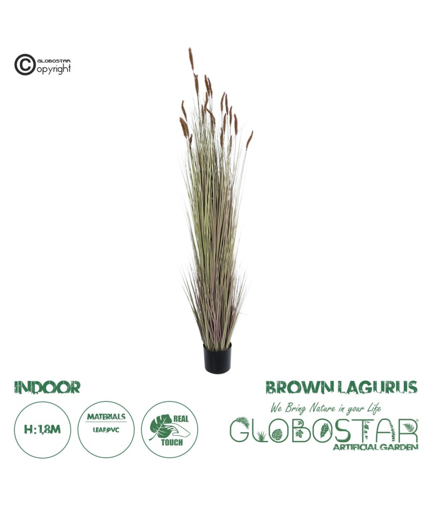 GloboStar® Artificial Garden BROWN LAGURUS 21103 Διακοσμητικό Φυτό Καφέ Λαγοουρά Υ180cm